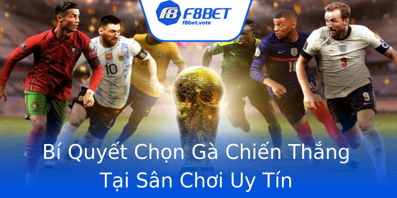 Bí Quyết Chọn Gà Chiến Thắng Tại Sân Chơi Uy Tín Bí Quyết Chọn Gà Chiến Thắng Tại Sân Chơi Uy Tín