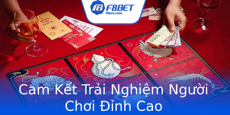 Cam Kết Trải Nghiệm Người Chơi Đỉnh Cao Cam Kết Trải Nghiệm Người Chơi Đỉnh Cao