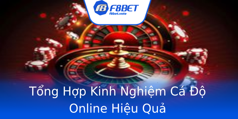 Tổng Hợp Kinh Nghiệm Cá Độ Online Hiệu Quả Tổng Hợp Kinh Nghiệm Cá Độ Online Hiệu Quả