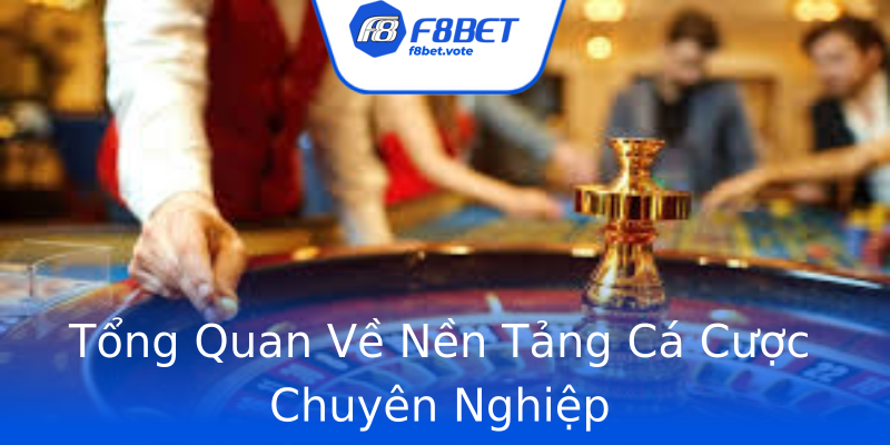 Tổng Quan Về Nền Tảng Cá Cược Chuyên Nghiệp Tổng Quan Về Nền Tảng Cá Cược Chuyên Nghiệp