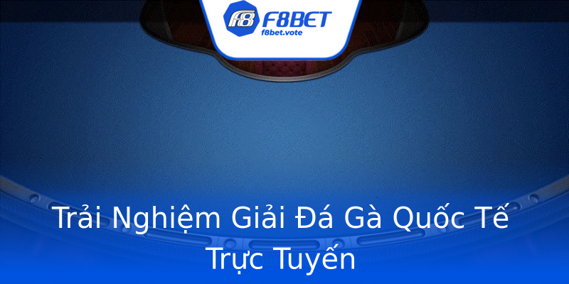 Trải Nghiệm Giải Đá Gà Quốc Tế Trực Tuyến Trải Nghiệm Giải Đá Gà Quốc Tế Trực Tuyến